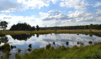 Neterselse Heide